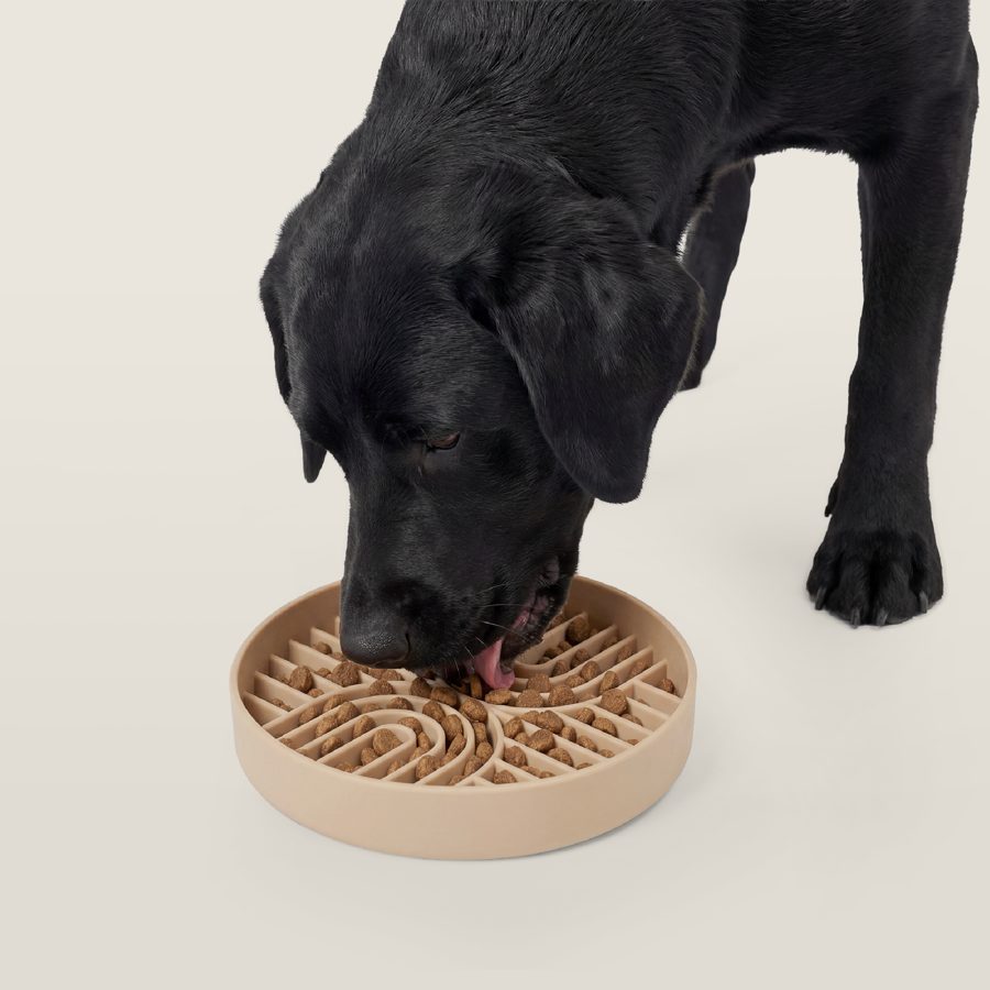 RVLock Dog Bowl Slow Feeder